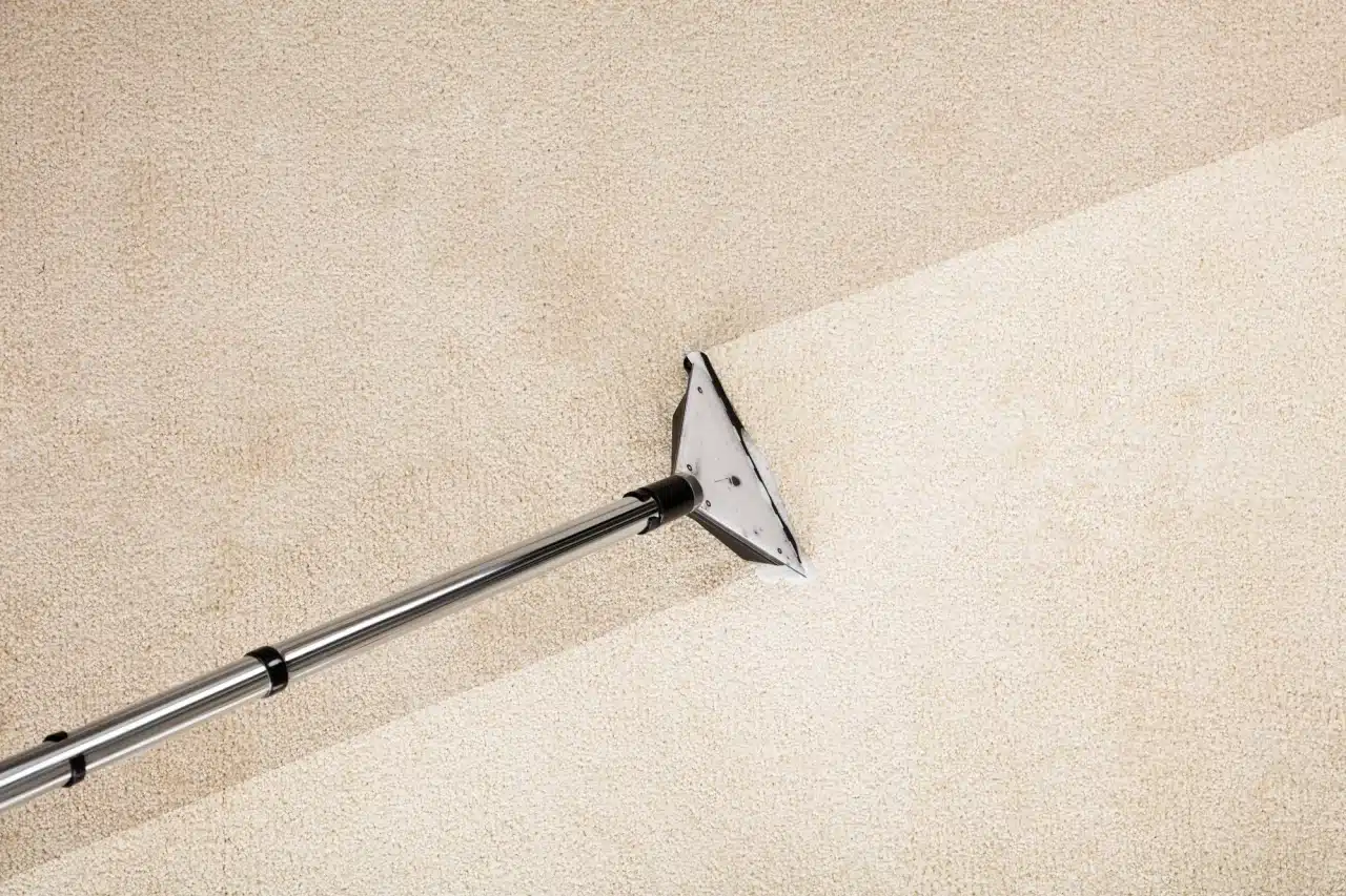 Carpet Cleaning